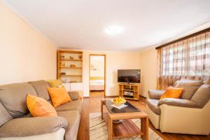 a living room with two couches and a tv at Apartment Frlan in Vela Luka