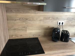 Kuchyň nebo kuchyňský kout v ubytování Ferienwohnung Schlich