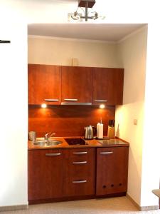 kuchnia z drewnianymi szafkami i zlewem w obiekcie Apartament w dzielnicy nadmorskiej (hotel Arstone) w Świnoujściu