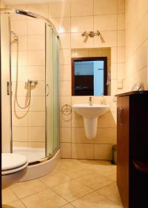 W łazience znajduje się toaleta z prysznicem i umywalka. w obiekcie Apartament w dzielnicy nadmorskiej (hotel Arstone) w Świnoujściu