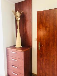 wazon na komodzie obok drzwi w obiekcie Apartament w dzielnicy nadmorskiej (hotel Arstone) w Świnoujściu