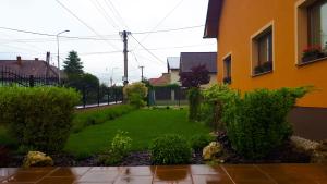 Zahrada ubytování Privat Velvet