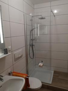 y baño con ducha, aseo y lavamanos. en Gasthof Liebetegger, en Moosburg