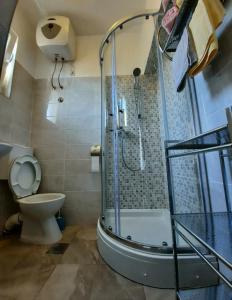 a bathroom with a shower and a toilet at Apartments Zoro in Primošten