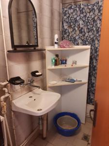 uma casa de banho com um lavatório, um espelho e um WC. em Apartment Milevi em Teteven