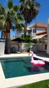 un cygne rose gonflable dans une piscine en face d'une maison dans l'établissement villa en torre de la horadada a 240m de la playa, à La Horadada