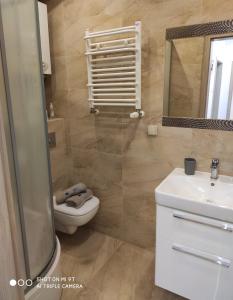 a bathroom with a toilet and a sink and a mirror at Apartament ADA in Koszalin