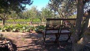 a bench sitting under a tree in a park at Arcamyrtus in Alghero