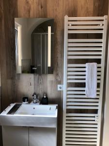 a bathroom with a white sink and a mirror at Ferienwohnung Schlich in Kelberg