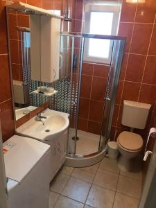a bathroom with a shower and a toilet and a sink at Leander Ház in Balatonszárszó +6 photos