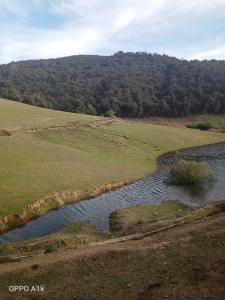 Paesaggio naturale nelle vicinanze dell'affittacamere