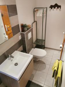 uma casa de banho com um lavatório, um chuveiro e um WC. em Studio de charme en Provence em Le Luc