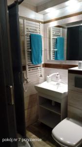a bathroom with a sink and a toilet and a mirror at Villa Vivaldi in Dziwnówek