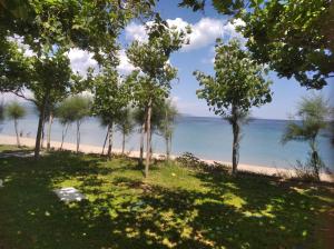 a view of a beach with trees and the ocean at Angie's Summertime in Nea Vrasna