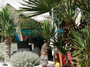 Fotografie z fotogalerie ubytování Casa MaLuca v destinaci Vir + 31 fotografií