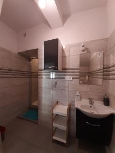 ウストロニエ・モルスキエにあるDomki i apartamenty w Ustroniu Morskimのバスルーム(シンク、シャワー付)