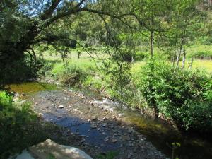 Gallery image of Nova Alofa caravan in Monchique +19 photos