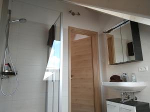 y baño con ducha, lavabo y espejo. en Ferienwohnung Regina en Berching