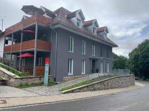 a large house with a building on the side of the road at Dom-i-Ziel Apartments in St. Blasien
