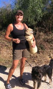 a woman is holding a dog in a basket at Cottage Vivenda Festina Lente in Figueiró dos Vinhos