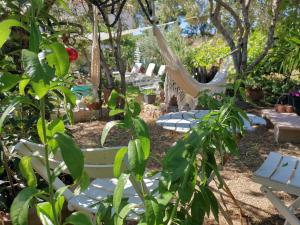 Hôtel Punta e Mare des Chambres ou des Appartements T2外面的花园