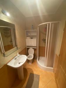 Koupelna v ubytování Apartments in Villa Teplice