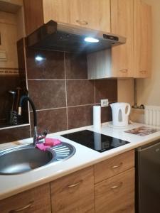 a kitchen with a sink and a stove at Apartament i pokoje gościnne Gniezno in Gniezno