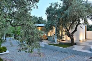 un patio con un árbol y un edificio en Studios Apartments Irini Patira, en Potos