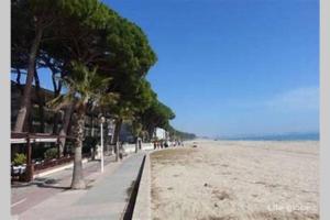 una playa de arena con palmeras y una acera en APARTAMENTO 1ª LINEA DE MAR CAMBRILS VILAFORTUNY, en Cambrils