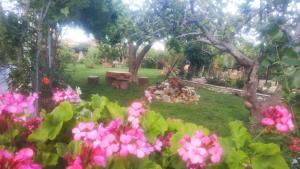 a picnic table in a garden with pink flowers at Maniatis Garden in Achladies