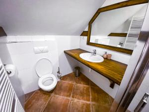 ein Badezimmer mit einem WC, einem Waschbecken und einem Spiegel in der Unterkunft Apartmán s výhľadom na Lomnický štít in Tatranská Lomnica