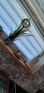 Fotografia z galérie ubytovania Karwia Plaza - Apartments - Domki z jacuzzi i sauną v destinácii Karwia