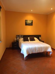 1 dormitorio con 1 cama grande y paredes de color naranja en Pisos Turísticos Muxía- Teresa Barros -bajo-, en Muxía