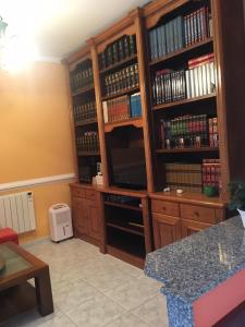 Knihovna v apartmánu