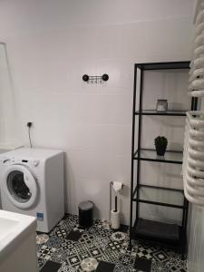 pralnia z pralką i półką w obiekcie Green Yew Apartment w Zielonej Górze