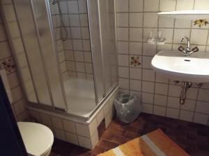 a bathroom with a shower and a toilet and a sink at Haus Margit in Kössen