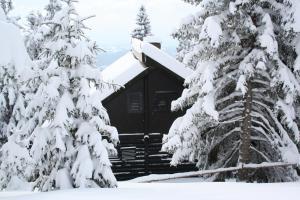eine Hütte im Schnee mit schneebedeckten Bäumen in der Unterkunft Apartmaji Snežinka Kope in Slovenj Gradec