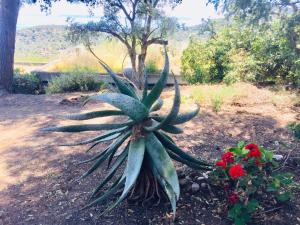 Gallery image of Gaou Benat, village des fourches, Label patrimoine XXe siècle in Bormes-les-Mimosas
