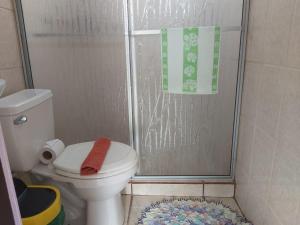 La petite salle de bains est pourvue d'une douche et de toilettes. dans l'établissement Posada Rural Oasis, à Caño Negro