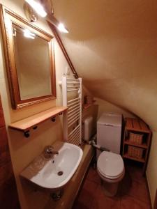 Koupelna v ubytování Holiday house apartment Voukov mlin