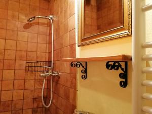 eine Dusche im Bad mit Spiegel in der Unterkunft Holiday house apartment Voukov mlin in Šmarje pri Jelšah