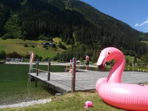 Príroda v okolí apartmánu
