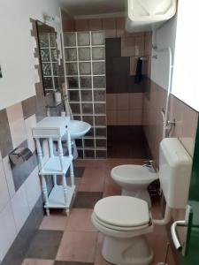 La salle de bains est pourvue de toilettes et d'un lavabo. dans l'établissement Apartma Fiorina, à Sečovlje