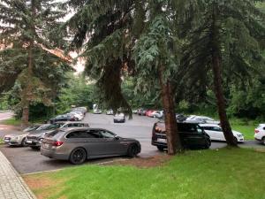 Zdjęcie z galerii obiektu Parkhotel Carlsbad Inn w Karlowych Warach
