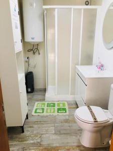 a bathroom with a toilet and a green rug at SwordFish Holiday Home in Peniche
