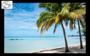 two palm trees on a beach with the ocean at Moorea Sunset Beach in Haapiti