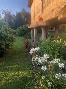 Zahrada ubytování Apartamentos Marsó