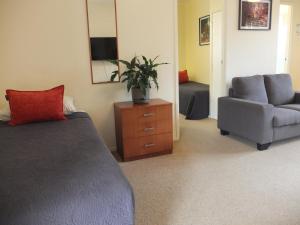 - une chambre avec un lit, une chaise et une plante dans l'établissement Colonial Court Motel, à Cambridge