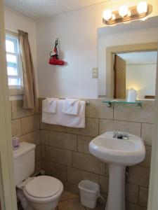 a bathroom with a sink and a toilet and a mirror at Acadia Gateway Motel in Trenton