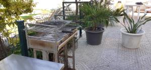 a patio with potted plants and a metal fence at Bem Me Quer in Almada